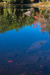 beautiful reflection in glassy water of deep blue sky and autumn trees with a single red leaf in the foreground