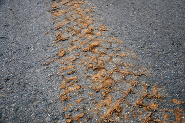 Traces of a car tire on sand asphalt.