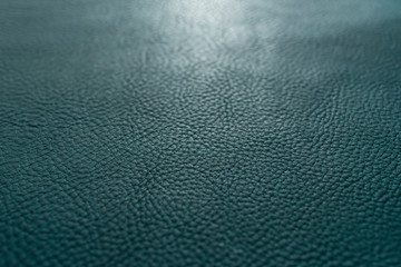 Navy blue color grainy, heavy grain calf cow leather texture and background.