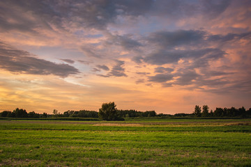 Fototapeta premium Green field, horizon and colorful clouds after sunset
