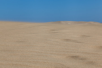 Dunas de mas palomas con cielo azul