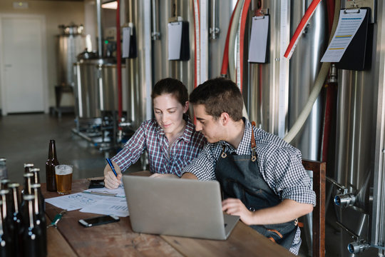 Young entrepreneurs working at a brewery