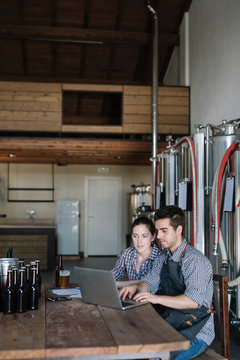 Young entrepreneurs working at a brewery