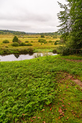 rural landscape with green field and blue sky