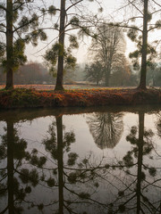 Reflets