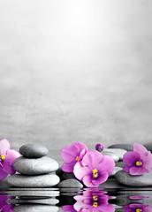 Obraz na płótnie Canvas flower and stone zen spa on grey background