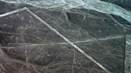 Fantastic Nazca Desert Petroglyphs