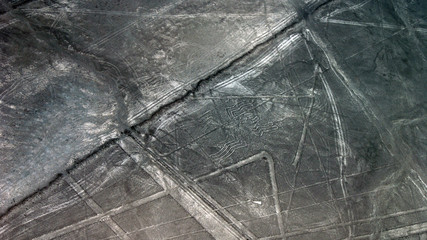 Fantastic Nazca Desert Petroglyphs
