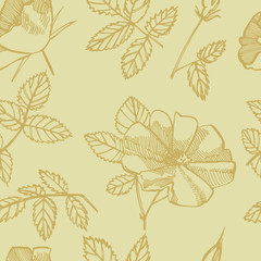 Wild rose flowers drawing and sketch illustrations. Decorative floral set for fabric, textile, wrapping paper, card, invitation, wallpaper, web design. Seamless patterns
