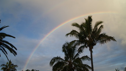 natural views of easter island