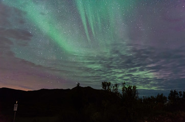 Lofoten North Lights