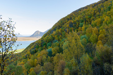 autumn in Norway
