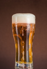 Full narrow glass of beer with foam on an orange brown background