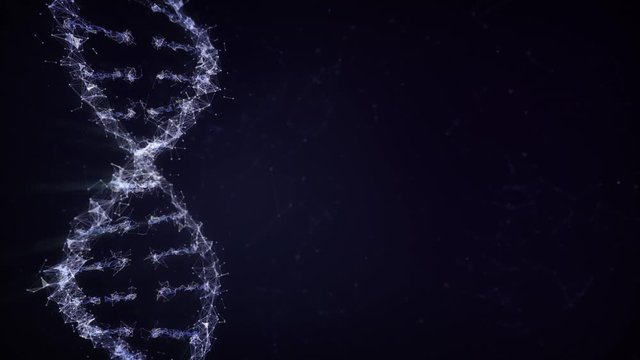 Animation of a DNA Strand with plexus. Rotating doble helix. Genetic concept. Medicine. With space for text or content.