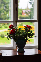 flowers in vase on windowsill