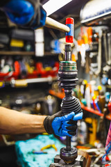 Fototapete bei efototapeten.de bestellen   