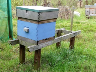 Blue wooden beehive for honey bees on allotment patch