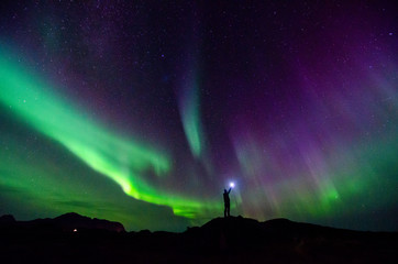 North Lights Lofoten