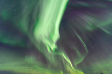 North Lights Lofoten