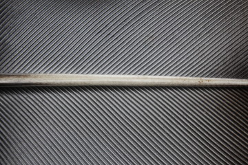 Obraz premium Macro photography of a feather