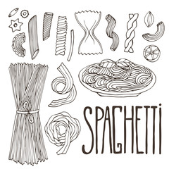 Spaghetti sketches. Vintage hand drawn pasta. Isolated italian food for menu design. Sketched pack of pasta illustration.