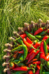 Large crop of red and green hot chili peppers