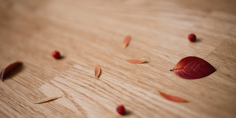  Rowan on wooden background Frame made of autumn dried leaves.