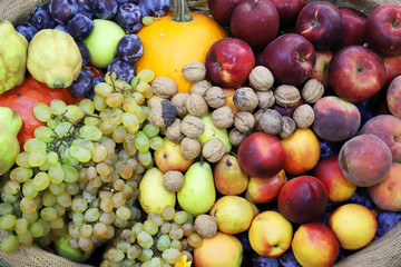 Naklejka na ściany i meble Various freshly picked harvested fruits