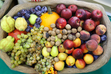 Various freshly picked harvested fruits