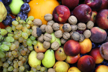Various freshly picked harvested fruits