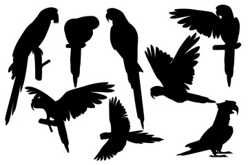 Black silhouette set of adult parrot of red-and-green macaw Ara (Ara chloropterus) cartoon bird design flat vector illustration isolated on white background