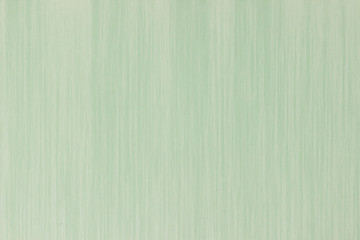 Iight  green paper texture with copy space.