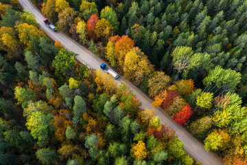 Latvian autumn nature. Forest and road. View from the top.