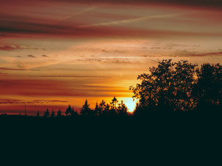 Obraz premium it a young night