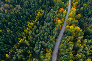 Latvian autumn nature. Forest and road. View from the top.