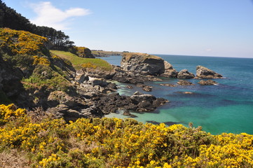 côte de Belle-Ile
