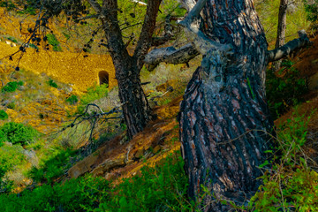 Acantilados de la Sierra Helada , Benidorm (Alicante)Espa&ntilde;a