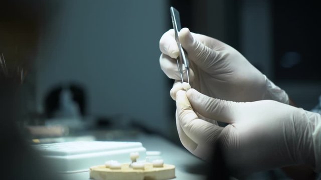 processing and correction of the dental crown. laboratory