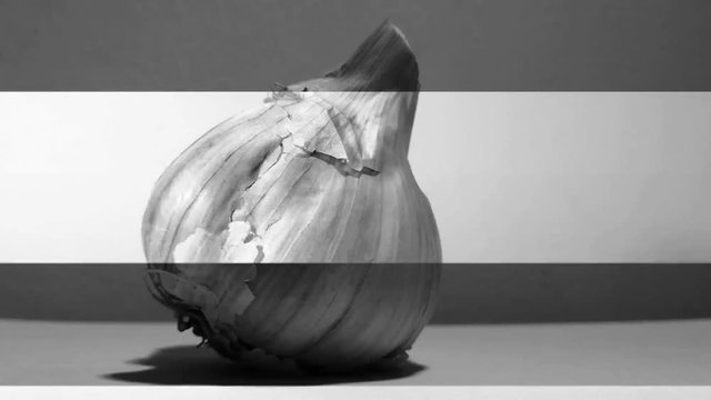 Concept of protection from vampires with monochrome garlic
