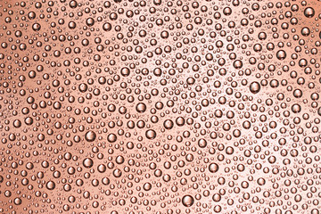 Dew droplets on coloured glass