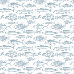 Fishes seamless pattern. Different fishes endless hand drawn texture. 
