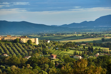 Medieval fortified tower and rural landscape with olives in Tuscany, Italy.