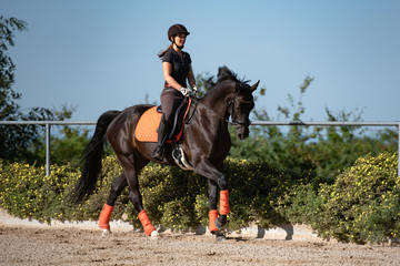 Reiterin galoppiert auf einem Reitplatz vor einem Busch im Sommer