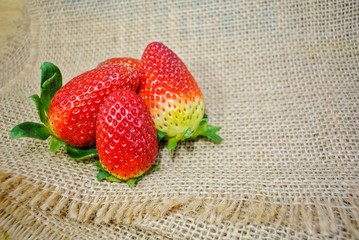 Fresh strawberries on a sackcloth background