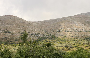 mountainous area rocky vegetation trees clouds sky