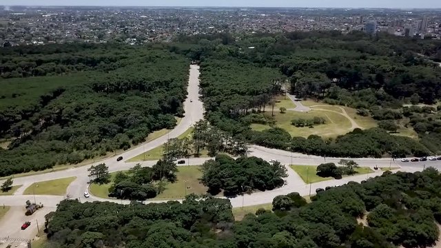 City and Trees Drone View