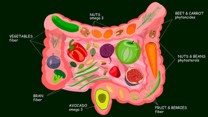 Healthy food for intestinal health. Trace elements and nutrients. Vector illustration isolate on a green background.