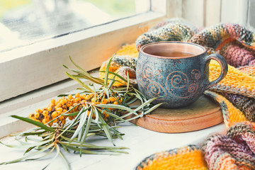 Cup of herbal tea, sea-buckthorn and knitted blanket on windowsill.