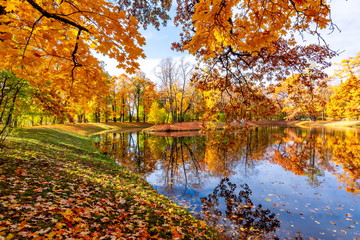 Fototapeta na wymiar Alexander park in fall, Pushkin (Tsarskoe Selo), St. Petersburg, Russia