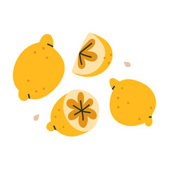 Vector hand drawn illustration of whole and cut lemons, tasry fresh citrons, crop harvest. Doodle icon in modern trendy flat cartoon style.